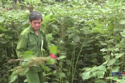 Hỗ trợ hợp tác xã bằng những việc làm cụ thể