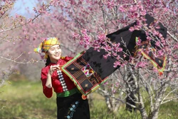 Khai mạc Lễ hội Hoa anh đào xã Mường Phăng