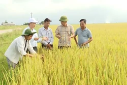 Nông dân Quảng Bình thắng lợi kép vụ Đông - Xuân