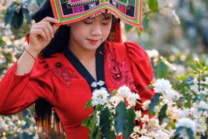 Hoa cà phê nở rộ tạo khung cảnh lãng mạn khắp triền đồi Sơn La