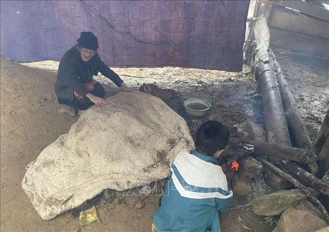 Người dân huyện vùng cao Bắc Yên, tỉnh Sơn La, phòng chống rét cho gia súc. Ảnh: Nguyễn Cường - TTXVN