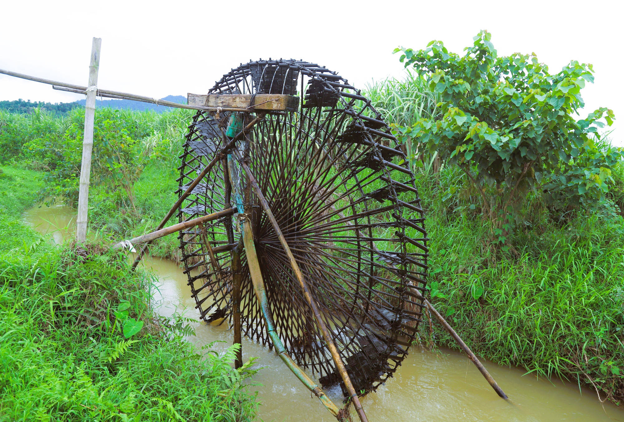 Cọn nước có hình dáng như một bánh xe có kích thước khổng lồ, bán kính từ 1,2m đến gần 2m được dựng bên các khe suối, dòng sông ngày đêm quay nhờ lực đẩy sức nước của dòng chảy của sông, suối. Cọn nước có hình dáng như một bánh xe có kích thước khổng lồ, bán kính từ 1,2m đến gần 2m được dựng bên các khe suối, dòng sông ngày đêm quay nhờ lực đẩy sức nước của dòng chảy của sông, suối.