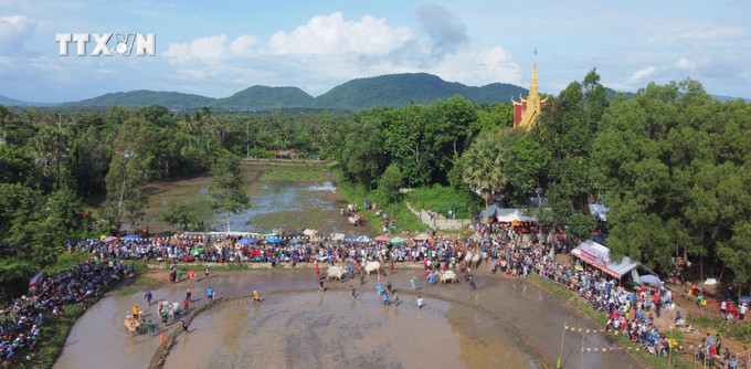 Hội đua bò Chùa Rô lần thứ X năm 2024 có 24 đôi bò xuất sắc của bà con Khmer trên địa bàn huyện Tri Tôn và thị xã Tịnh Biên, tỉnh An Giang. Ảnh: Công Mạo-TTXVN vna_potal_soi_noi_hoi_dua_bo_chua_ro_o_vung_bay_nui_an_giang_7580365.jpg