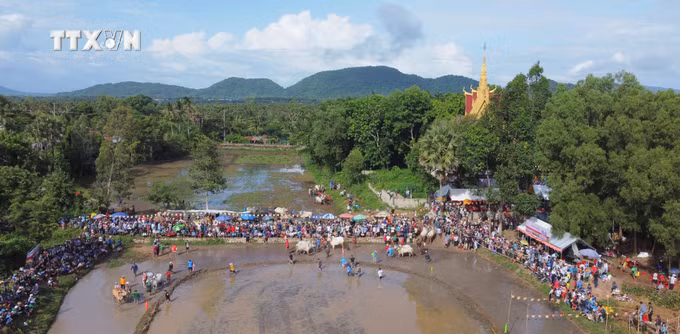 vna_potal_soi_noi_hoi_dua_bo_chua_ro_o_vung_bay_nui_an_giang_7580365.jpg