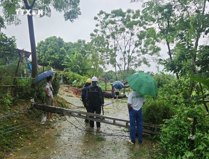 Cột điện gãy đổ tại huyện Sơn Dương, tỉnh Tuyên Quang. Ảnh: TTXVN phát vna_potal_tuyen_quang_khan_truong_khac_phuc_su_co_ve_dien_do_bao_so_3_gay_ra_7580763.jpg