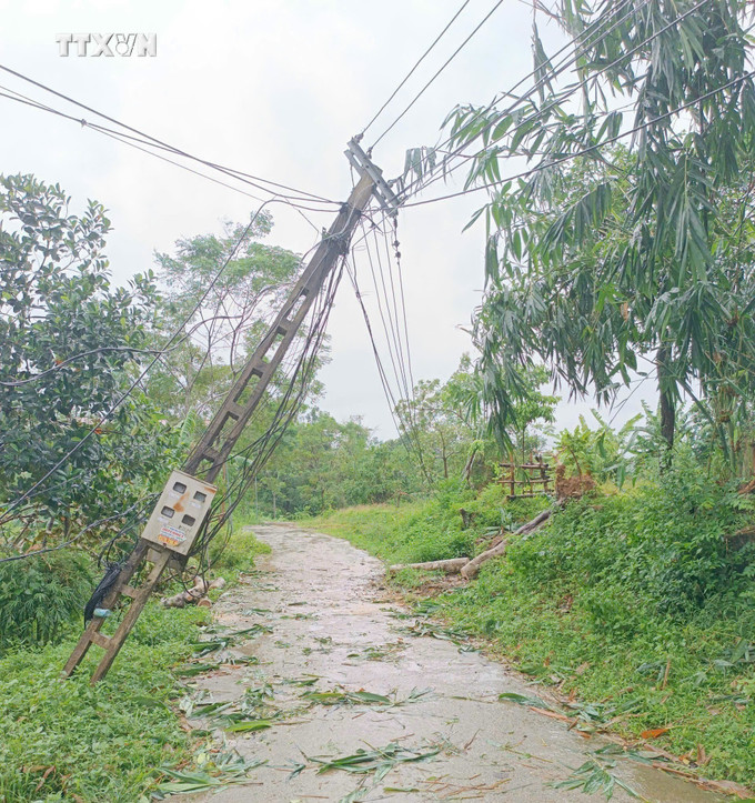 Cột điện gãy đổ tại huyện Sơn Dương, tỉnh Tuyên Quang. Ảnh: TTXVN phát vna_potal_tuyen_quang_khan_truong_khac_phuc_su_co_ve_dien_do_bao_so_3_gay_ra_7580760.jpg