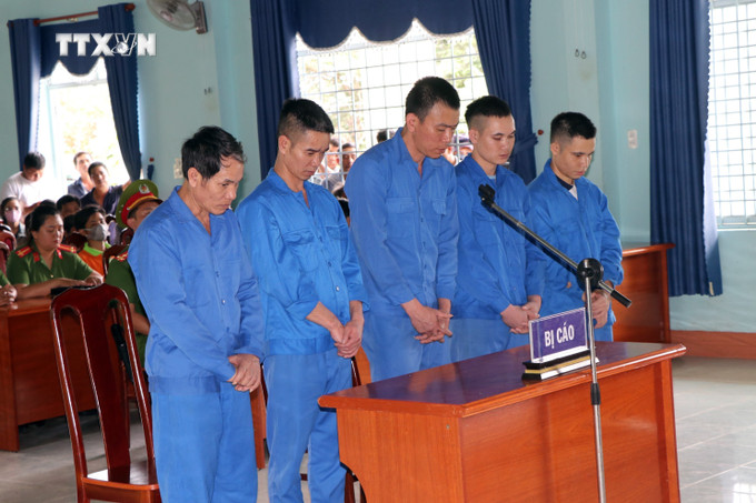 Các bị cáo tại phiên tòa. Ảnh: Cao Nguyên-TTXVN vna_potal_xet_xu_luu_dong_vu_pha_rung_lam_ray_o_kon_tum_7565911.jpg