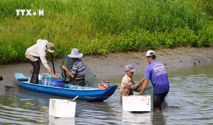 vna_potal_kien_giang_co_hon_70000_nguoi_tham_gia_hop_tac_xa_nong_nghiep_7115446.jpg