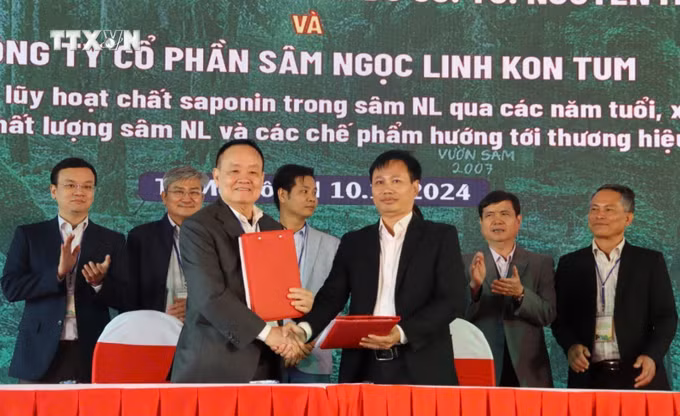vna_potal_nang_tam_vi_the_sam_ngoc_linh_7748498.jpg