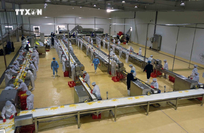 Vận hành dây chuyền chế biến rau, quả Doveco Sơn La. Ảnh: Quang Quyết-TTXVN vna_potal__khanh_thanh_trung_tam_che_bien_rau_qua_doveco_son_la_6740266.jpg