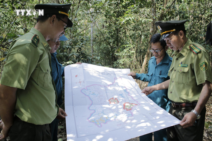 Cán bộ kiểm lâm, rừng phòng hộ đi tuần tra bảo vệ rừng Núi Dinh thuộc địa phận thị xã Phú Mỹ, tỉnh Bà Rịa-Vũng Tàu. Ảnh: Hoàng Nhị - TTXVN vna_potal_bao_ve_rung_trong_cay_gay_rung_phat_trien_manh_tai_ba_ria-vung_tau_7434195.jpg