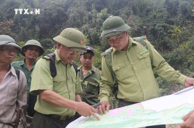 Xác định tọa độ, khu vực trọng điểm về diễn biến hình thái rừng trong đại ngàn Pù Huống. Ảnh: Xuân Tiến - TTXVN vna_potal_bao_ve_rung_tang_cuong_cong_tac_quan_ly_bao_ve_khu_bao_ton_thien_nhien_pu_huong_nghe_an_7313465.jpg