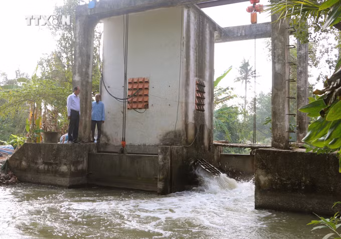 vna_potal_soc_trang_tang_cuong_giai_phap_bao_ve_vu_lua_he_thu_2024_7327766.jpg