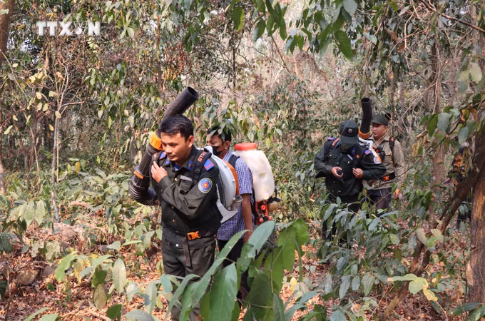vna_potal__an_giang_ung_truc_2424_gio_phong_chong_chay_rung_7364203.jpg