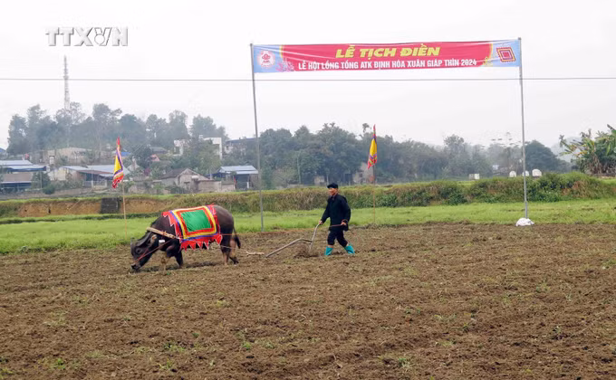 vna_potal_le_hoi_long_tong_atk_dinh_hoa_xuan_giap_thin_2024_______________________________7231728.jpg