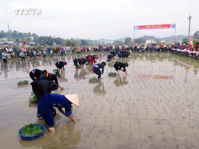 vna_potal_le_hoi_long_tong_atk_dinh_hoa_xuan_giap_thin_2024_________________________________7231730.jpg