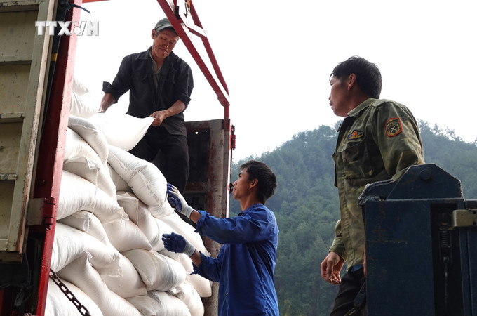 Nhân viên Cục Dự trữ Nhà nước khu vực Hoàng Liên Sơn bốc xếp gạo giao cho các trường học tại huyện Mù Cang Chải. Ảnh: Tuấn Anh - TTXVN vna_potal_truong_hoc_vung_cao_khong_con_phai_di_vay_gao_anh_theo_bai_7300342.jpg