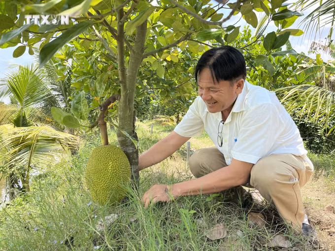 vna_potal_dong_thap_muoi_-_gan_50_nam_sau_ngay_mien_nam_giai_phong_7408164.jpg