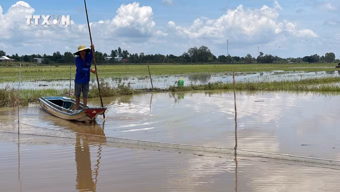 vna_potal_dong_thap_muoi_-_gan_50_nam_sau_ngay_mien_nam_giai_phong_7408162.jpg
