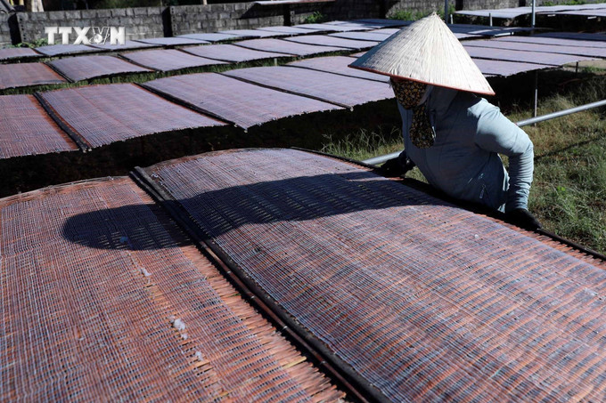 Người dân làng nghề miến dong truyền thống xã Bình Lư hối hả vào vụ sản xuất phục vụ Tết Nguyên đán. Ảnh: Quý Trung – TTXVN vna_potal_lang_mien_truyen_thong_binh_lu_hoi_ha_vao_vu_tet_nguyen_dan_2025_7723501.jpg