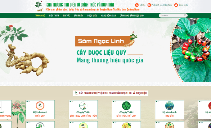 Ảnh chụp màn hình giao diện sàn thương mại điện tử tử sâm, dược liệu và hàng nông sản Nam Trà My với tên miền https://phienchosam.quangnam.gov.vn. Ảnh: DTMN NamTraMy.png