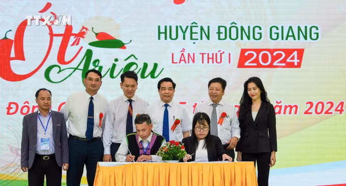 vna_potal_quang_nam_le_hoi_ot_a_rieu_lan_thu_i_-_nam_2024_7538808.jpg