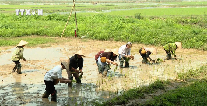 Du khách trải nghiệm hoạt động sản xuất nông nghiệp khi tham gia "Mường tour - động Thiên Hà". Ảnh: Thùy Dung - TTXVN vna_potal_ninh_binh_khai_thac_van_hoa_dan_toc_muong_de_phat_trien_du_lich_7538709.jpg