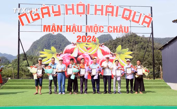 vna_potal_son_la_ngay_hoi_hai_qua_man_hau_nam_2024_7383064.jpg