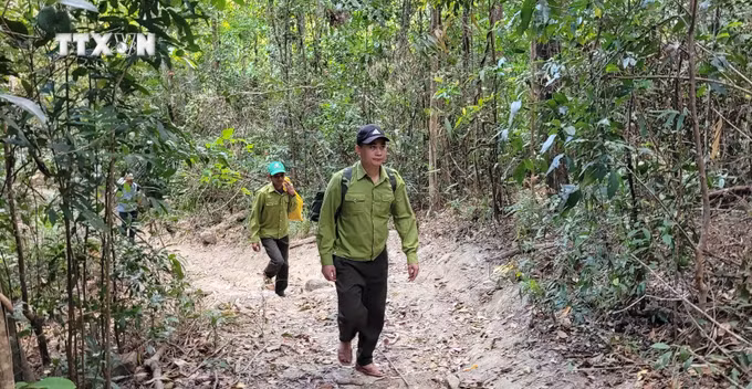 vna_potal_gia_lai_nhung_nguoi_don_tet_giua_rung__7221128.jpg