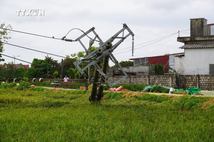 Giông lốc khiến 13 cột điện 35 kV tại huyện Nông Cống và thị xã Nghi Sơn bị gãy đổ. Ảnh: Hoa Mai - TTXVN vna_potal_thanh_hoa_mua_giong_kem_loc_set_khien_2_nguoi_chet_hang_tram_hecta_lua_hoa_mau_bi_thiet_hai__7386325.jpg