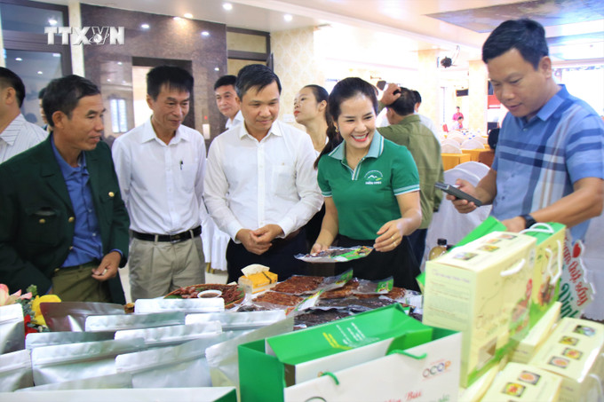 Các đại biểu tham quan gian hàng trưng bày, giới thiệu sản phẩm OCOP tại Diễn đàn. Ảnh: Đức Hoàng - TTXVN vna_potal_dien_dan_phat_trien_thuong_hieu_va_tieu_thu_san_pham_ocop_o_yen_bai_7671018.jpg