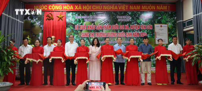 Các đại biểu cắt băng tại Lễ xuất khẩu. Ảnh: Hoàng Hải - TTXVN vna_potal_tuyen_quang_xuat_khau_san_pham_buoi_soi_ha_sang_thi_truong_vuong_quoc_anh_7670795.jpg
