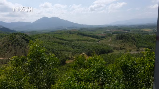 vna_potal_khanh_hoa_tang_cuong_cac_bien_phap_phong_chong_chay_rung_6629300.jpg