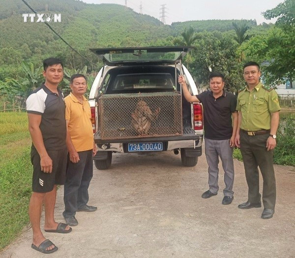 Cơ quan chức năng tiếp nhận cá thể khỉ mốc từ người dân. Ảnh: TTXVN phát vna_potal_quang_binh_nguoi_dan_giao_nop_ca_the_meo_rung_va_khi_moc_quy_hiem__7358175.jpg