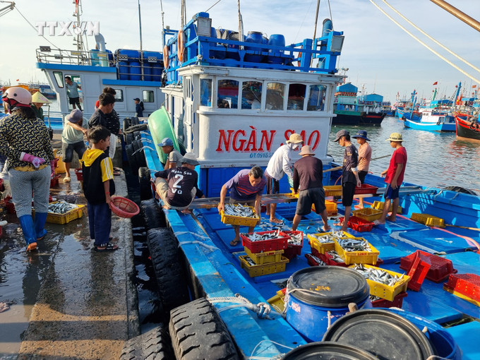 Ngư dân xã Thanh Hải (Ninh Hải, Ninh Thuận) đưa cá lên bờ đi tiêu thụ. Ảnh: Nguyễn Thành – TTXVN vna_potal_ninh_thuan_day_manh_ho_tro_nong_dan_phat_trien_san_xuat_kinh_doanh_7438021.jpg
