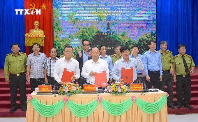 vna_potal_ky_ket_quy_che_phoi_hop_quan_ly_bao_ve_rung_giap_ranh_giua_gia_lai_va_cac_tinh_binh_dinh_phu_yen_dak_lak_7441075.jpg