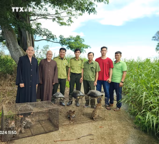 vna_potal_tha_9_ca_the_dong_vat_hoang_da_ve_vuon_quoc_gia_u_minh_ha_7425145.jpg
