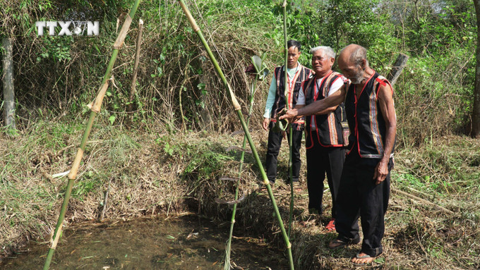 Tái hiện nghi lễ cầu mưa của đồng bào Bahnar ở làng Hnap, xã K'Dang, huyện Đăk Đoa, tỉnh Gia Lai. Ảnh: Hoài Nam – TTXVN vna_potal_van_hoa_soi_duong_hoi_sinh_le_cau_mua_cua_dong_bao_bahnar_o_gia_lai_7323176.jpg