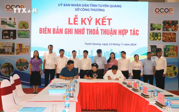 vna_potal_hoi_nghi_ket_noi_cung_-_cau_tieu_thu_san_pham_hang_hoa_tinh_tuyen_quang_nam_2024_7717513.jpg