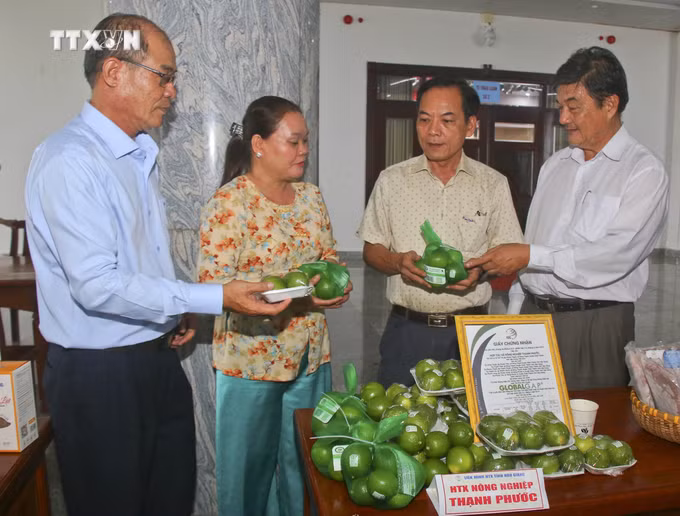 vna_potal_hau_giang_phat_trien_chuong_trinh_moi_xa_mot_san_pham__7626704.jpg