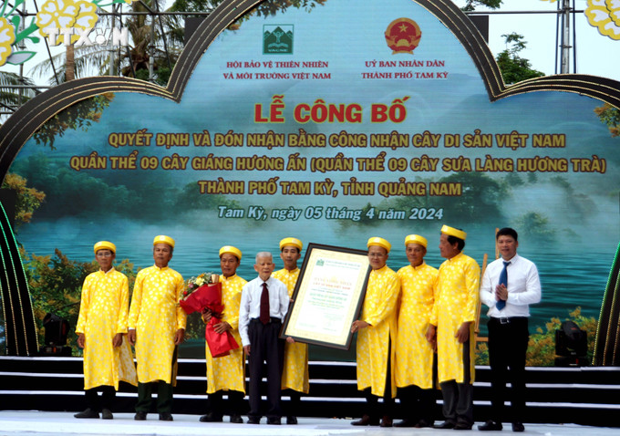 Lễ đón nhận Bằng công nhận Cây di sản Việt Nam đối với quần thể 9 cây Giáng Hương Ấn. Ảnh: Trịnh Bang Nhiệm - TTXVN vna_potal_quan_the_9_cay_sua_lang_huong_tra_tai_quang_nam_duoc_cong_nhan_cay_di_san_viet_nam_7308531.jpg