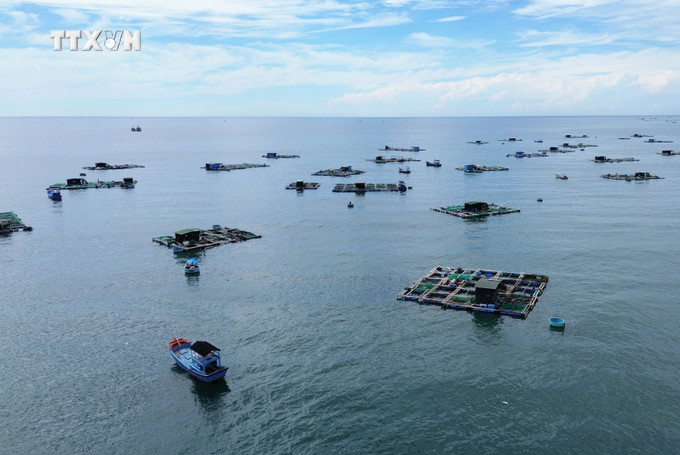 Mô hình nuôi hải sản trong lồng bè tại Ninh Thuận. Ảnh: Nguyễn Thành – TTXVN vna_potal_ninh_thuan_tao_dong_luc_tang_truong_moi_tu_kinh_te_bien_7365373.jpg
