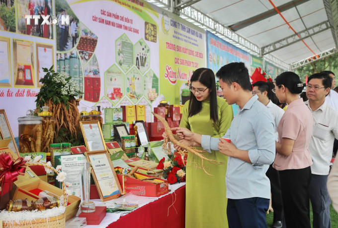Các đại biểu tham quan các gian hàng tại Hội nghị Kết nối, xúc tiến tiêu thụ sản phẩm sâm Nam Núi Dành do UBND huyện Tân Yên ngày 30/3/2024. Ảnh: Danh Lam - TTXVN vna_potal_bac_giang_xuc_tien_tieu_thu_san_pham_sam_nam_nui_danh_7298155.jpeg