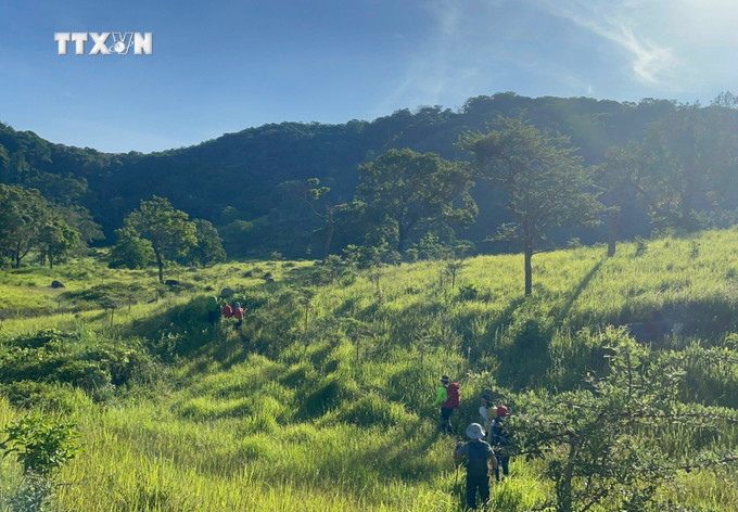 Du khách khám phá hệ sinh thái rừng tại Vườn quốc gia Núi Chúa, tỉnh Ninh Thuận. Ảnh: TTXVN phát vna_potal_ninh_thuan_bao_ton_da_dang_sinh_hoc_de_phat_trien_ben_vung_6970053.jpg