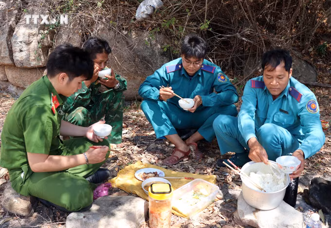 vna_potal_ninh_thuan_tap_trung_cao_do_ung_pho_voi_nguy_co_chay_rung_7249299.jpg