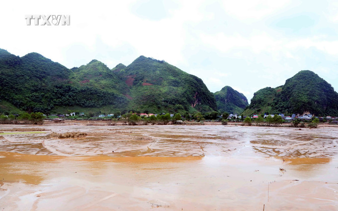 Sau trận ngập lụt, toàn bộ diện tích canh tác của nhân dân tại khu vực bản Phé, xã Tông Cọ, huyện Thuận Châu, tỉnh Sơn La chìm trong bùn đất. Ảnh: Quang Quyết - TTXVN vna_potal_son_la_ho_tro_nhan_dan_vung_ngap_lut_xa_tong_co_vuot_qua_kho_khan__7511740.jpg