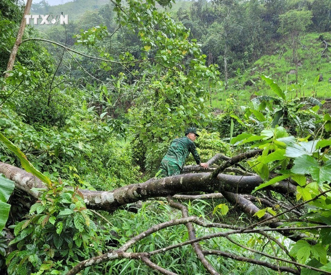 Cán bộ chiến sĩ Đồn Biên Phòng cùng các lực lượng chức năng tích cực tìm kiếm người mất tích. Ảnh: TTXVN phát vna_potal_lai_chau_3_nguoi_bi_cuon_troi_khi_qua_suoi_troi_mua_khien_1_nguoi_mat_tich_7423266.jpg