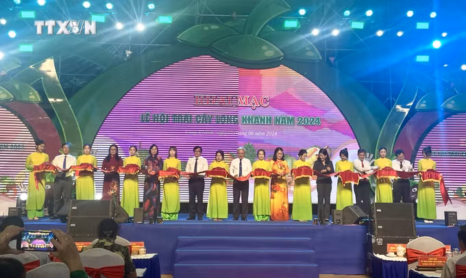 vna_potal_khai_mac_le_hoi_trai_cay_long_khanh_7427565.jpeg