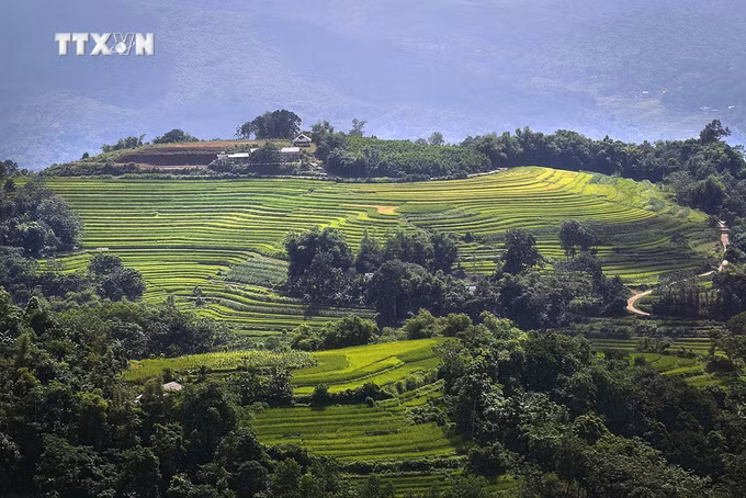 vna_potal_hoa_binh_ve_dep_binh_yen_cua_ruong_bac_thang_o_xa_vung_cao_mien_doi_lac_son_6305516.jpg