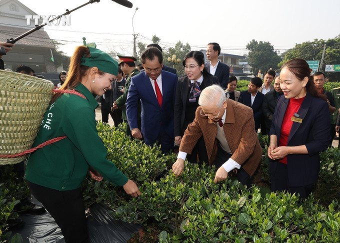 Tổng Bí thư Nguyễn Phú Trọng thăm vườn chè của Hợp tác xã Hảo Đạt, thành phố Thái Nguyên (10/1/2023). Ảnh: Trí Dũng – TTXVN vna_potal_trao_tang_huan_chuong_sao_vang_cho_tong_bi_thu_nguyen_phu_trong_7489773.jpg